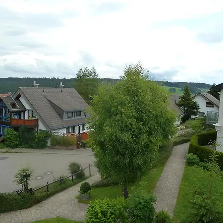 Schwarzwaldblick